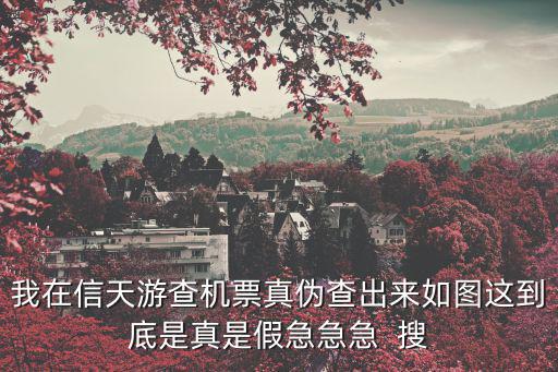 我在信天游查機(jī)票真?zhèn)尾槌鰜砣鐖D這到底是真是假急急急  搜