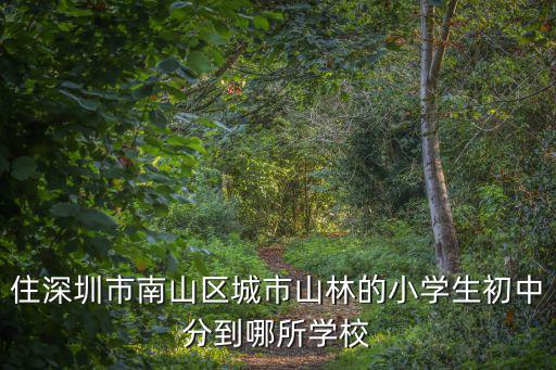 住深圳市南山區城市山林的小學生初中分到哪所學校