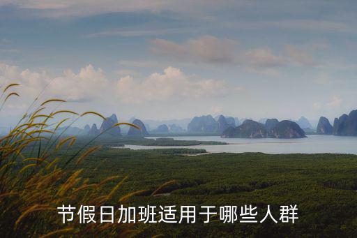 節(jié)假日加班適用于哪些人群