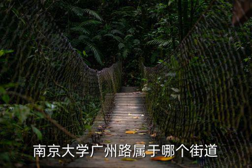 南京大學(xué)廣州路屬于哪個街道