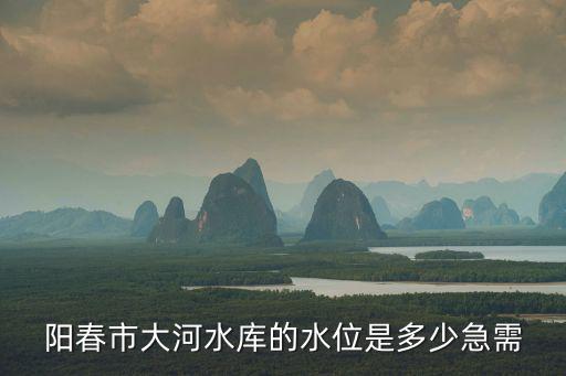 實(shí)時(shí)水情查詢，陽春市大河水庫的水位是多少急需
