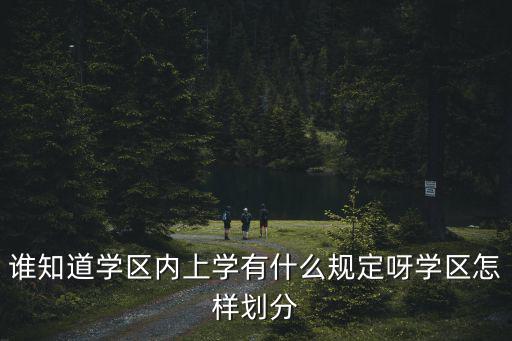 誰知道學區內上學有什么規定呀學區怎樣劃分
