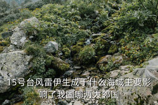 15號臺風(fēng)雷伊生成于什么海域主要影響了我國哪兩大鄰國