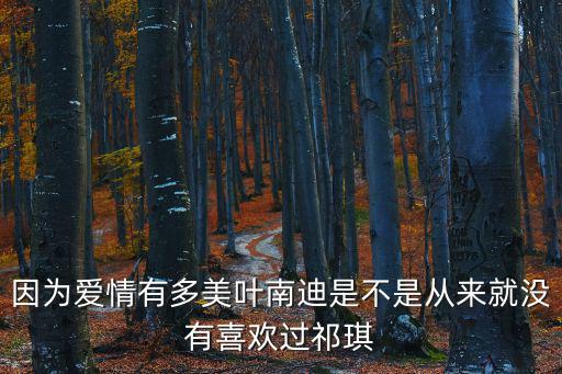因?yàn)閻矍橛卸嗝廊~南迪是不是從來就沒有喜歡過祁琪