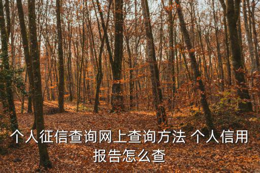 個人征信查詢網上查詢方法 個人信用報告怎么查