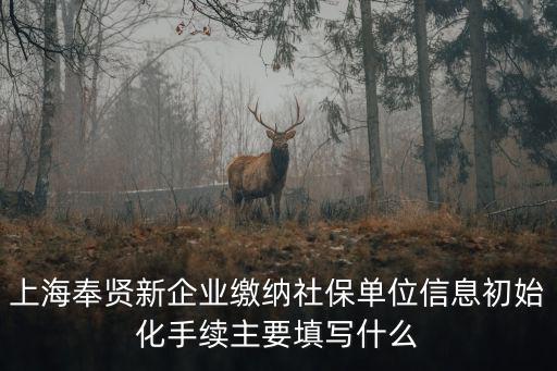上海奉賢新企業繳納社保單位信息初始化手續主要填寫什么