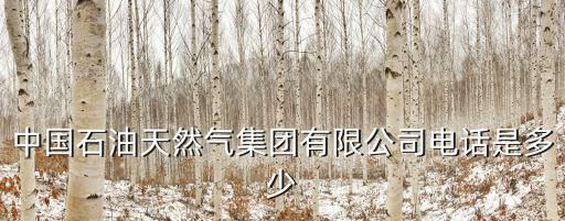 中國石油天然氣集團有限公司電話是多少