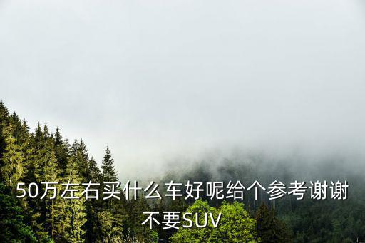 50萬(wàn)左右買(mǎi)什么車(chē)好呢給個(gè)參考謝謝不要SUV