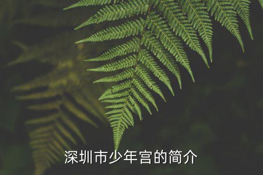 深圳少年宮，深圳市少年宮的簡介