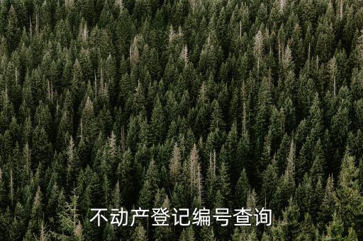 不動產登記編號查詢