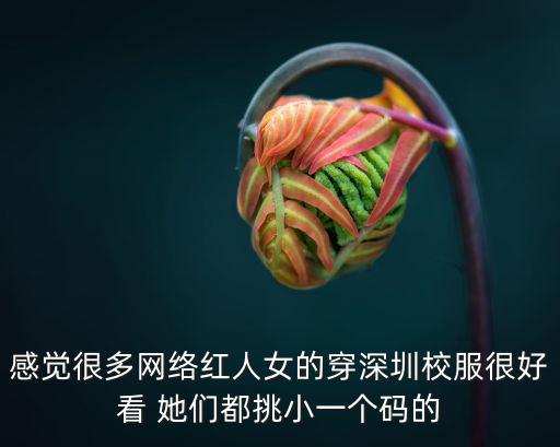 感覺很多網絡紅人女的穿深圳校服很好看 她們都挑小一個碼的
