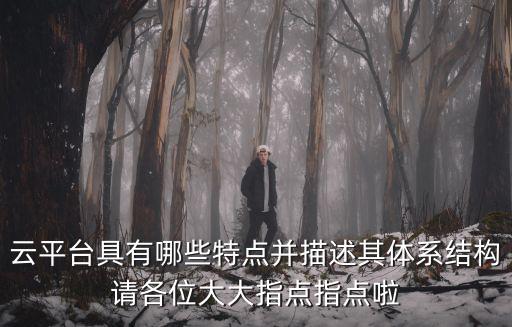 網絡學習云平臺，云平臺具有哪些特點并描述其體系結構請各位大大指點指點啦