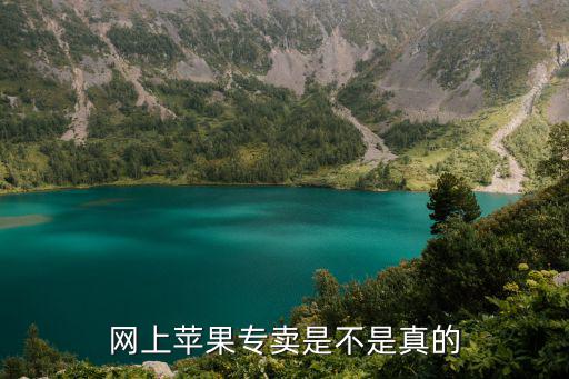 網上蘋果專賣是不是真的