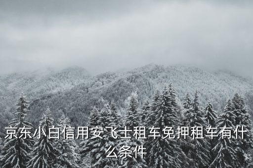 安飛士租車，安飛士租車有知道的么
