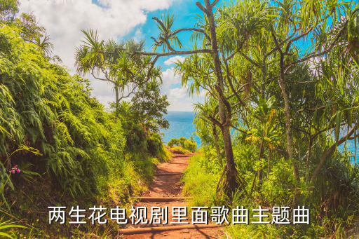 兩生花歌曲，電視劇兩生花主題曲插曲片尾曲歌詞名字叫什么