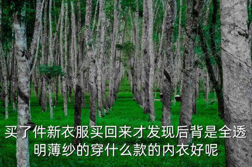 買了件新衣服買回來才發現后背是全透明薄紗的穿什么款的內衣好呢