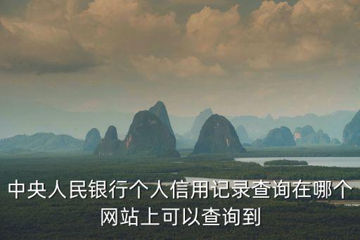 中央人民銀行個人信用記錄查詢在哪個網站上可以查詢到