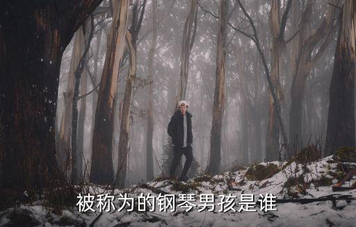 被稱為的鋼琴男孩是誰