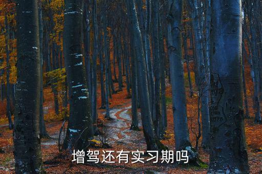 增駕還有實習期嗎