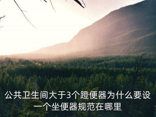 公共便所，公共廁所晚上該不該鎖門
