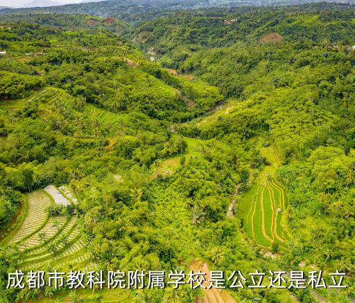 成都市教科院附屬學(xué)校是公立還是私立