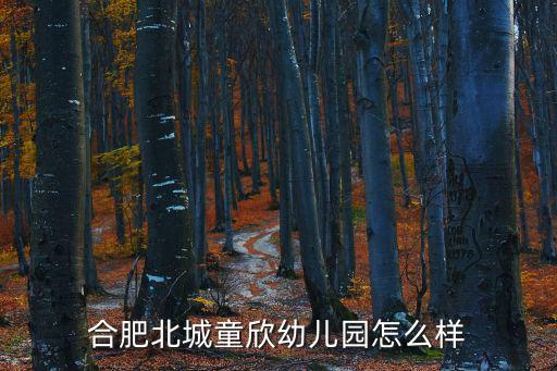 合肥北城童欣幼兒園怎么樣