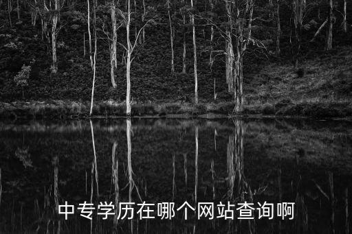 查詢學歷網(wǎng)站，中專學歷在哪個網(wǎng)站查詢啊