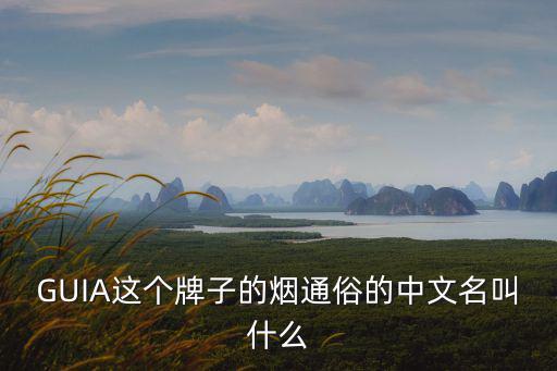 GUIA這個牌子的煙通俗的中文名叫什么
