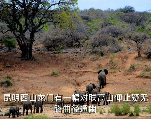 昆明西山龍門有一幅對聯(lián)高山仰止疑無路曲徑通幽