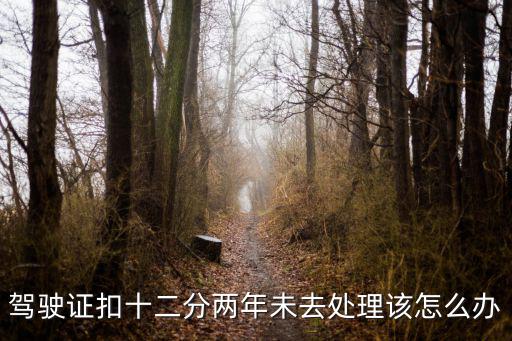 駕照扣滿12分之后怎么處理，駕駛證扣十二分兩年未去處理該怎么辦
