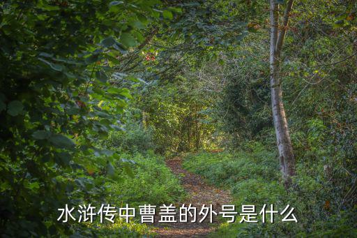 曹蓋，水滸里是晁蓋還是曹蓋
