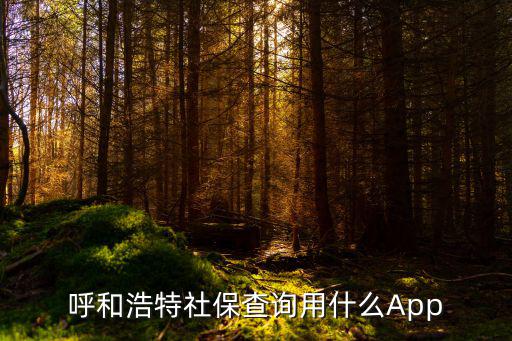個(gè)人社保查詢app，呼和浩特社保查詢用什么App