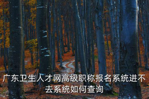 人才衛生網，中國人才衛生網準考證打印