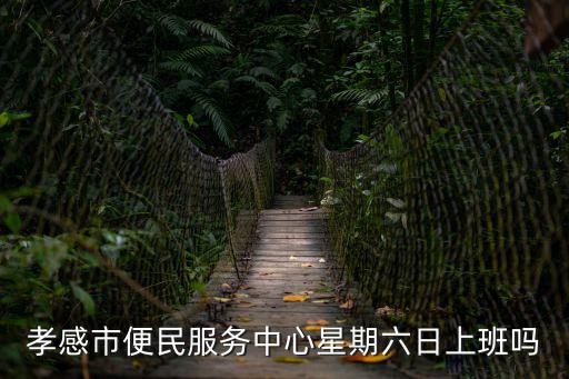 便民服務中心上班時間，孝感市便民服務中心星期六日上班嗎