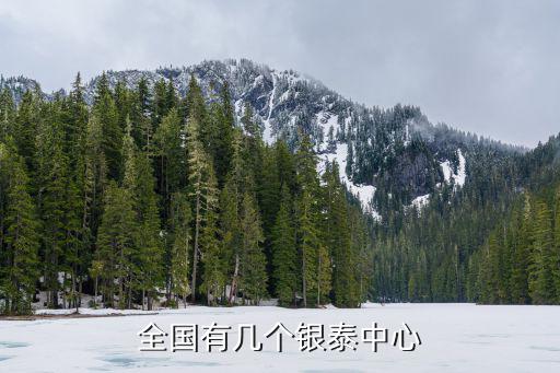 全國(guó)有幾個(gè)銀泰中心