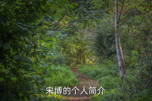 宋博，宋博是哪部電視劇