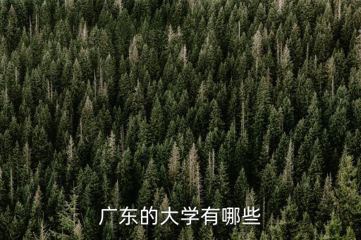 廣東的大學(xué)有哪些