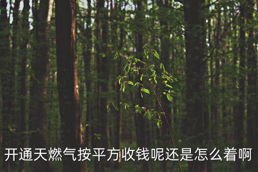 開通天燃氣按平方收錢呢還是怎么著啊