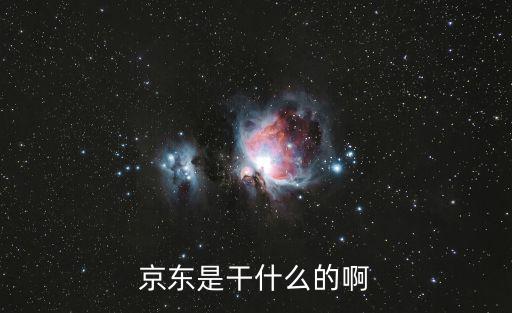 京東是干什么的啊
