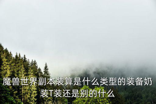 魔獸世界副本裝算是什么類型的裝備奶裝T裝還是別的什么