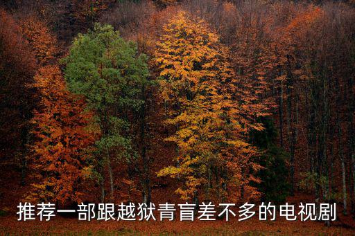 電視劇青盲，推薦一部跟越獄青盲差不多的電視劇