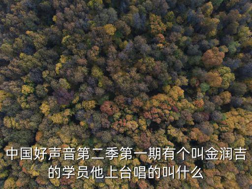 中國好聲音第二季第一期有個叫金潤吉的學員他上臺唱的叫什么