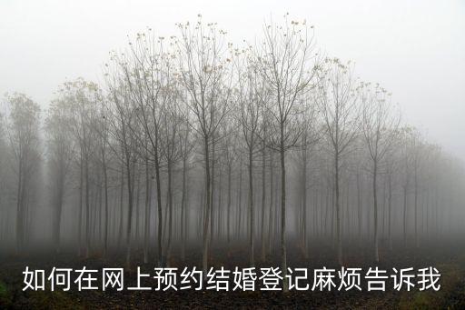 如何在網上預約結婚登記麻煩告訴我