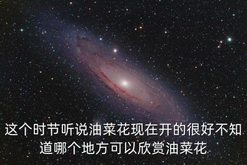這個時節聽說油菜花現在開的很好不知道哪個地方可以欣賞油菜花