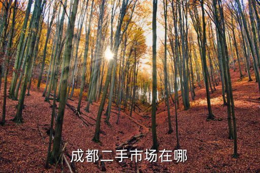 成都二手市場在哪