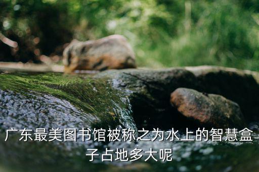 最美圖書館，最美圖書館也是靈魂療養院對此你如何看