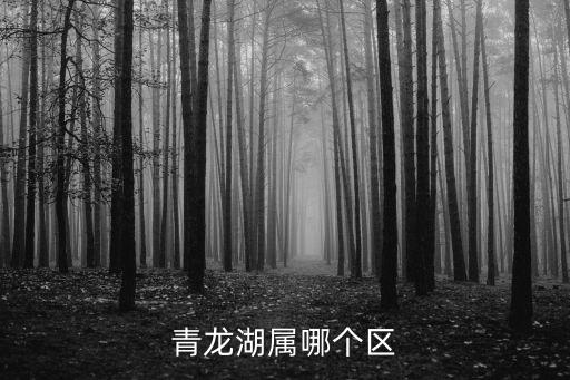 青龍湖屬哪個區
