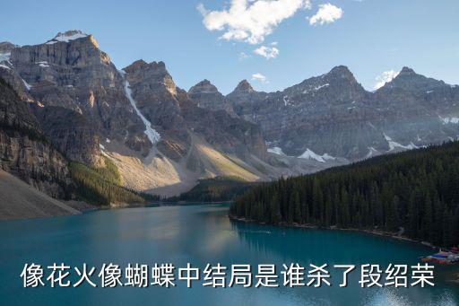 像火花像蝴蝶結局，像火花像蝴蝶什么什么結局