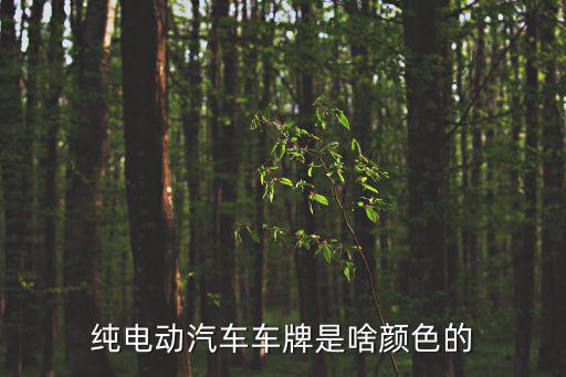 新能源汽車車牌，新能源汽車牌照和普通牌照有區(qū)別嗎