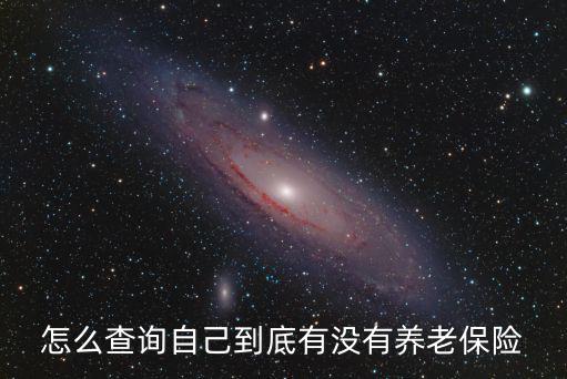 查詢個人養老保險，廣東省社保養老保險信息在哪個網站查詢